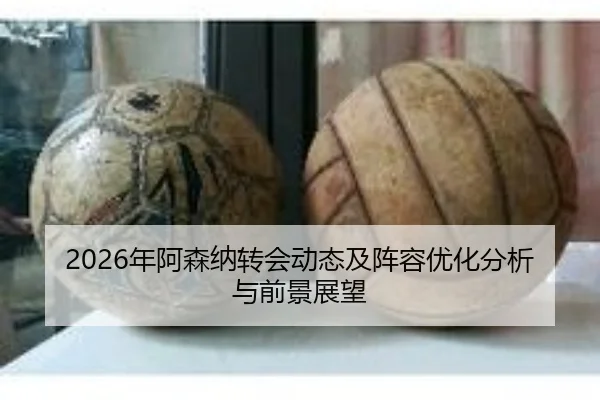 nian-a-sen-na-zhuan-hui-dong-tai-ji-zhen-rong-you-hua-fen-xi-yu-qian-jing-zhan-wang-2-366.jpg